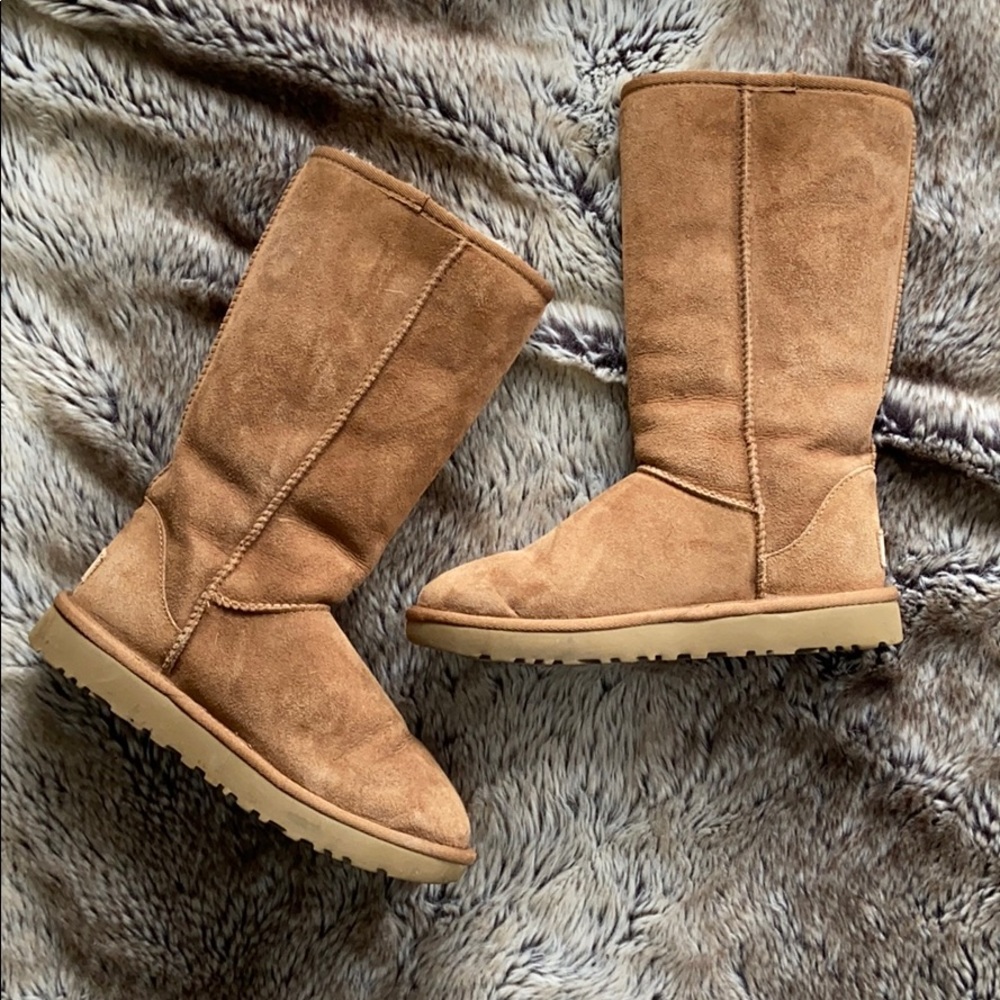 Tall Chestnut Uggs